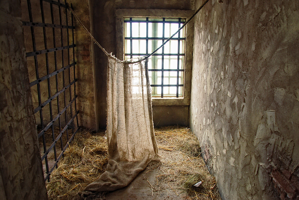 Lay Down these&nbsp;Guns