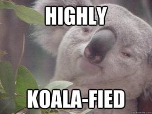 0a6c8bff977addbf1beb4f7dfe0f24b5_400x1000