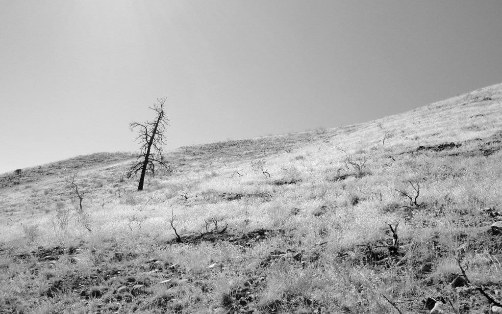 Stuck in the Suburbs of Stark&nbsp;Reality