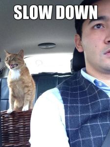 1c98d1eeb65f993a247ea5d863382bb4