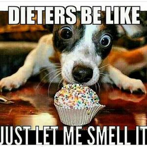 201504_2127_icdfg_sm