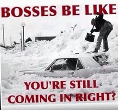 9372dd20d623c324eea926798f6bc0b8