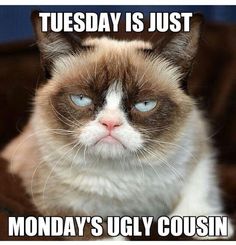 7ed7fe47b75a8c48a8f1ae5b878d33de