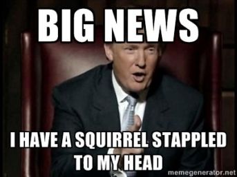 8096c914b7ec9a0a448905951e5d659e