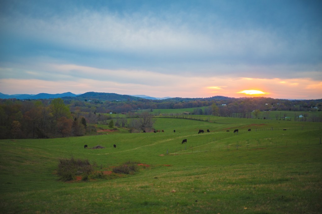 Finding Freedom in a&nbsp;U-Turn