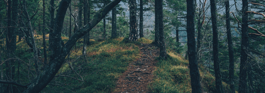 I’ve Got Questions: Another Voice in the Coronavirus&nbsp;Choir