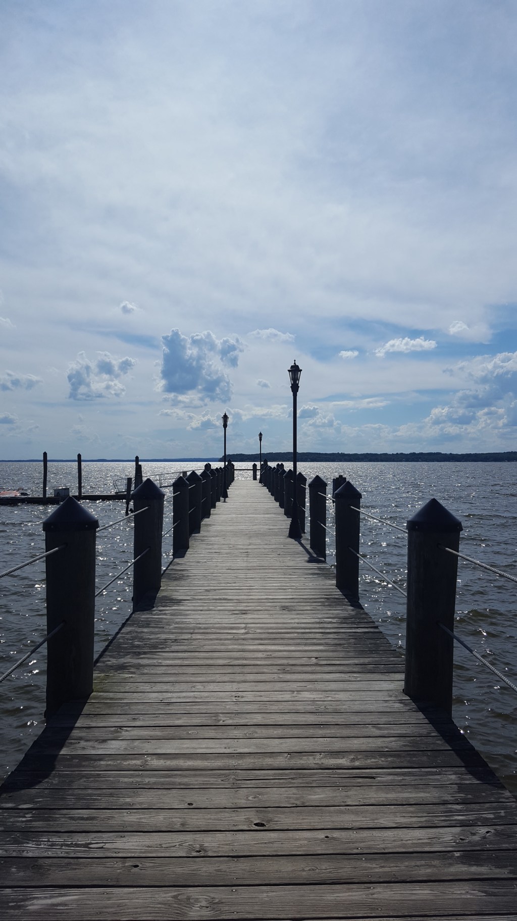 A Slip of the Knife and a Few Spilled Green Beans&nbsp;Later…