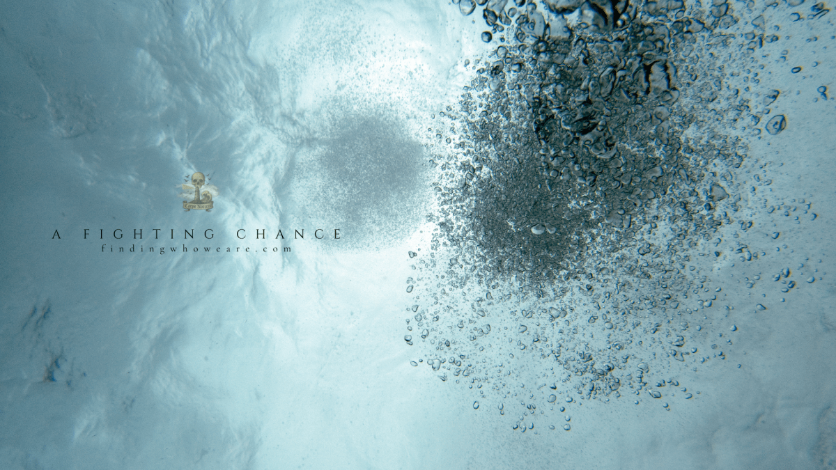 A Fighting Chance: Rediscovering Life During & After&nbsp;Struggle